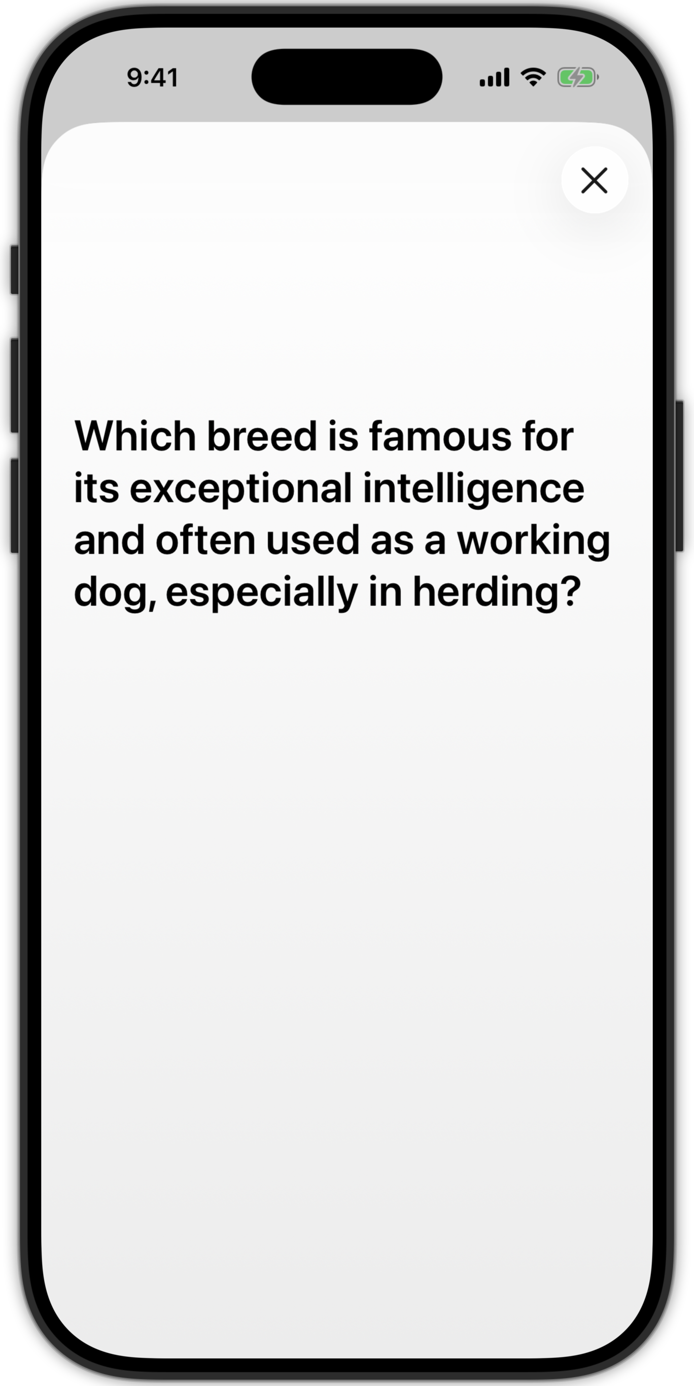 The Study View on iPhone